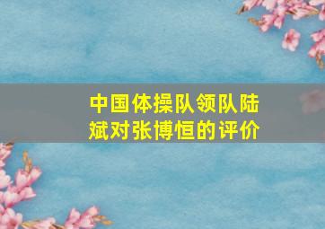 中国体操队领队陆斌对张博恒的评价