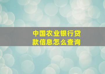 中国农业银行贷款信息怎么查询