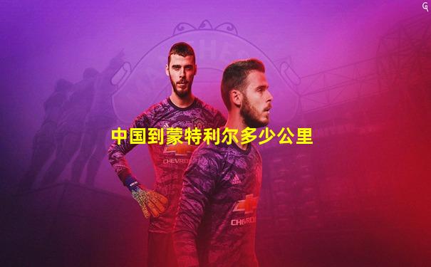 中国到蒙特利尔多少公里