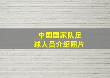 中国国家队足球人员介绍图片