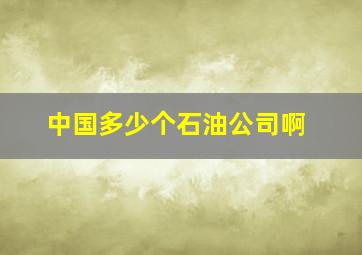 中国多少个石油公司啊