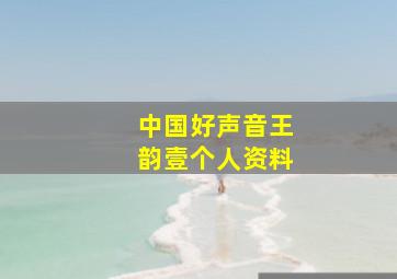 中国好声音王韵壹个人资料