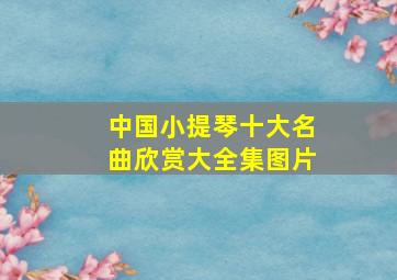 中国小提琴十大名曲欣赏大全集图片