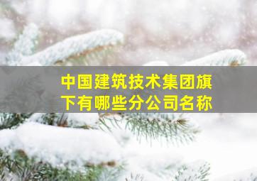 中国建筑技术集团旗下有哪些分公司名称