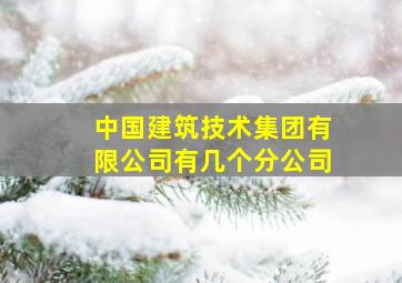 中国建筑技术集团有限公司有几个分公司