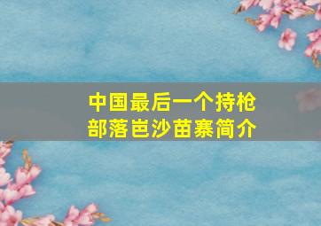 中国最后一个持枪部落岜沙苗寨简介