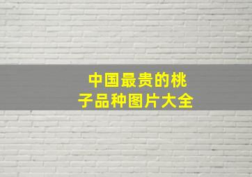 中国最贵的桃子品种图片大全