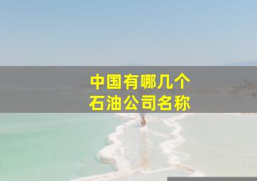 中国有哪几个石油公司名称