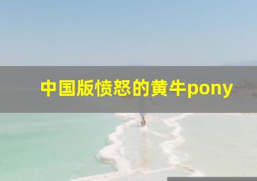 中国版愤怒的黄牛pony