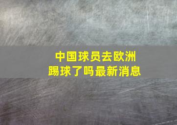 中国球员去欧洲踢球了吗最新消息