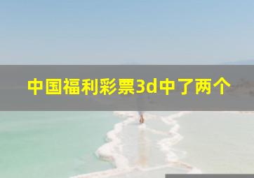 中国福利彩票3d中了两个