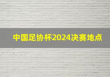 中国足协杯2024决赛地点