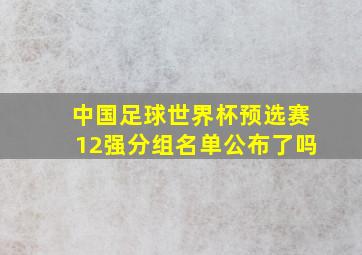 中国足球世界杯预选赛12强分组名单公布了吗