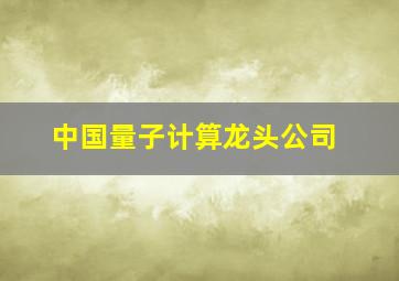 中国量子计算龙头公司