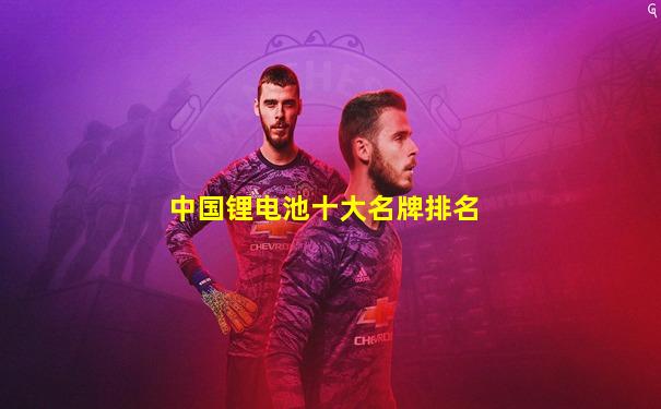 中国锂电池十大名牌排名