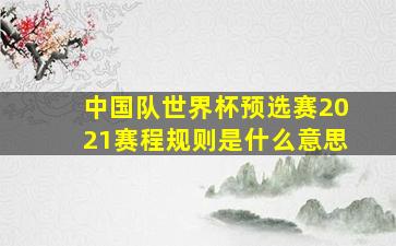 中国队世界杯预选赛2021赛程规则是什么意思