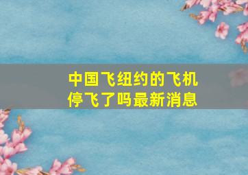 中国飞纽约的飞机停飞了吗最新消息