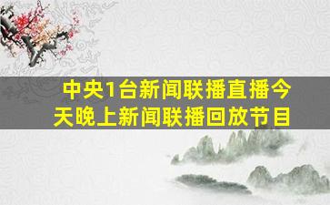 中央1台新闻联播直播今天晚上新闻联播回放节目