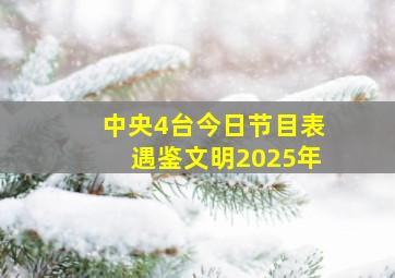 中央4台今日节目表遇鉴文明2025年