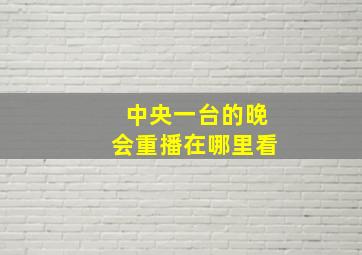 中央一台的晚会重播在哪里看