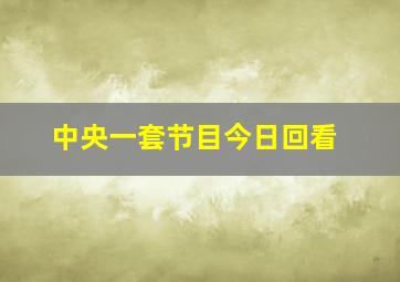 中央一套节目今日回看