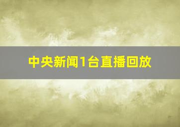 中央新闻1台直播回放