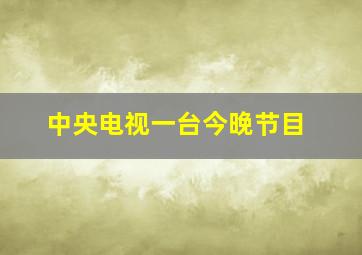 中央电视一台今晚节目