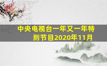 中央电视台一年又一年特别节目2020年11月