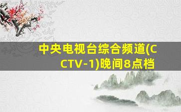 中央电视台综合频道(CCTV-1)晚间8点档