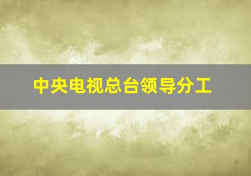 中央电视总台领导分工