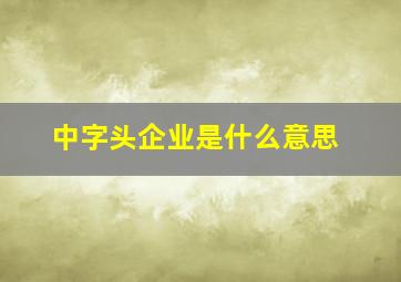 中字头企业是什么意思