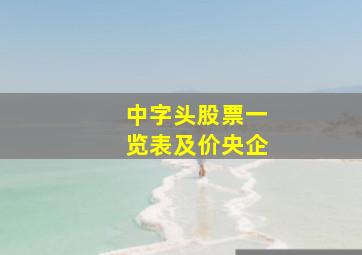 中字头股票一览表及价央企