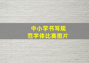 中小学书写规范字体比赛图片