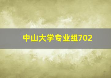 中山大学专业组702