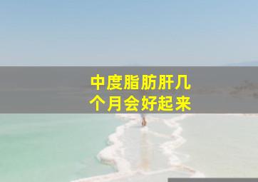 中度脂肪肝几个月会好起来