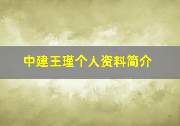 中建王瑾个人资料简介