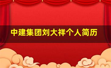 中建集团刘大祥个人简历