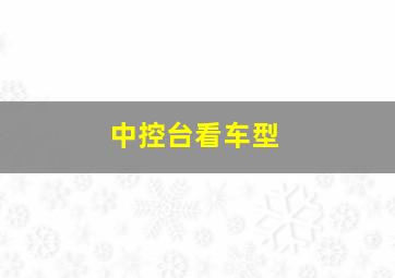 中控台看车型