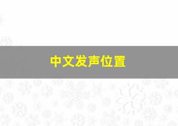 中文发声位置