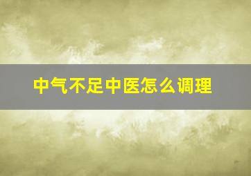 中气不足中医怎么调理