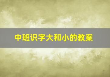 中班识字大和小的教案