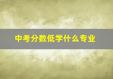 中考分数低学什么专业