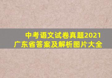 中考语文试卷真题2021广东省答案及解析图片大全