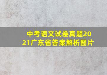 中考语文试卷真题2021广东省答案解析图片