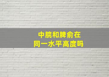 中脘和脾俞在同一水平高度吗