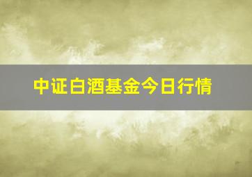 中证白酒基金今日行情