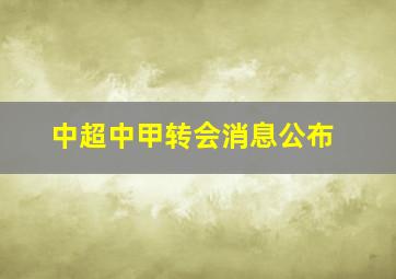 中超中甲转会消息公布