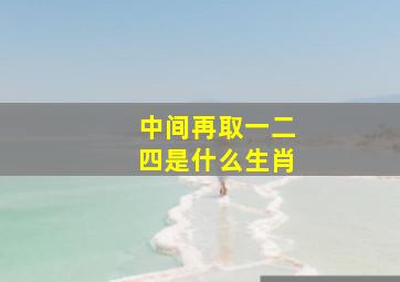 中间再取一二四是什么生肖