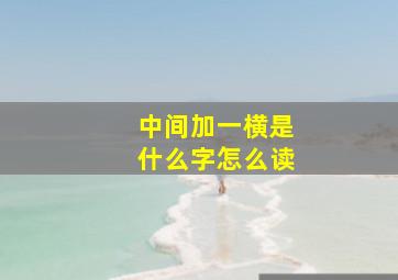 中间加一横是什么字怎么读