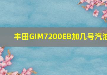 丰田GIM7200EB加几号汽油